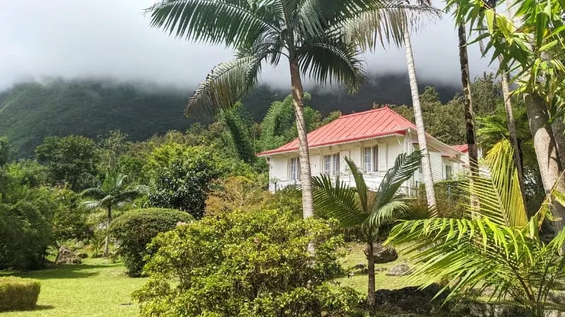 jardin créole